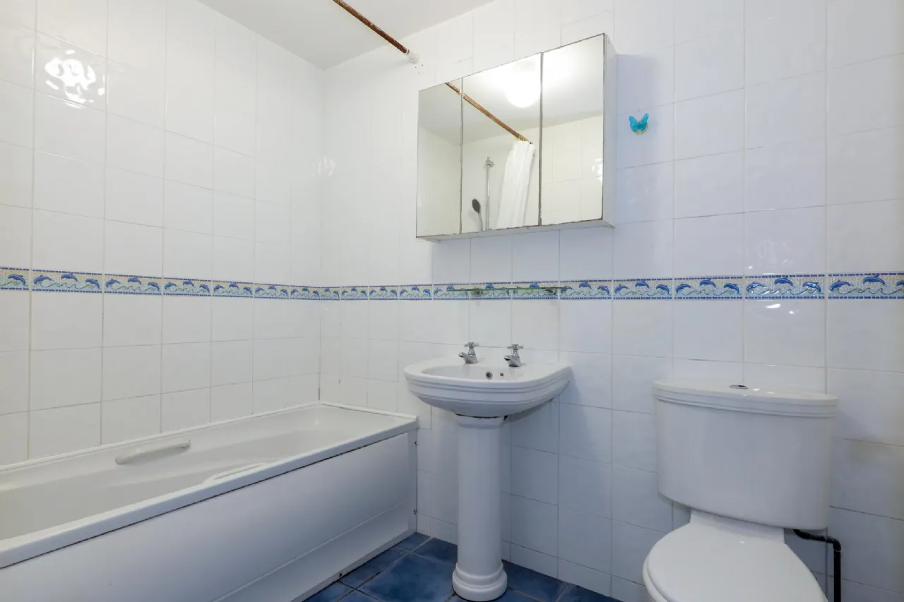 Photo of Bluebell Woods, Oranmore, Galway, H91 HN96
