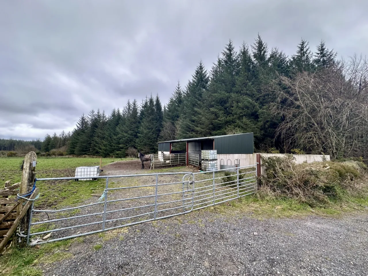 Photo of Lands At Moneygorm With Farm Shed, Cappoquin, Co Waterford
