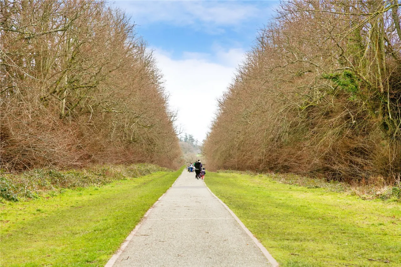 Photo of 45 Charter House, Maynooth, Co. Kildare, W23 CY95