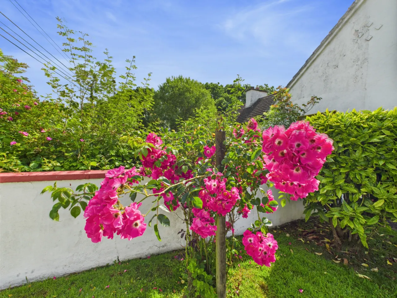 Photo of Lackabaun, Kylebrack, Loughrea, Co. Galway, H62 E209