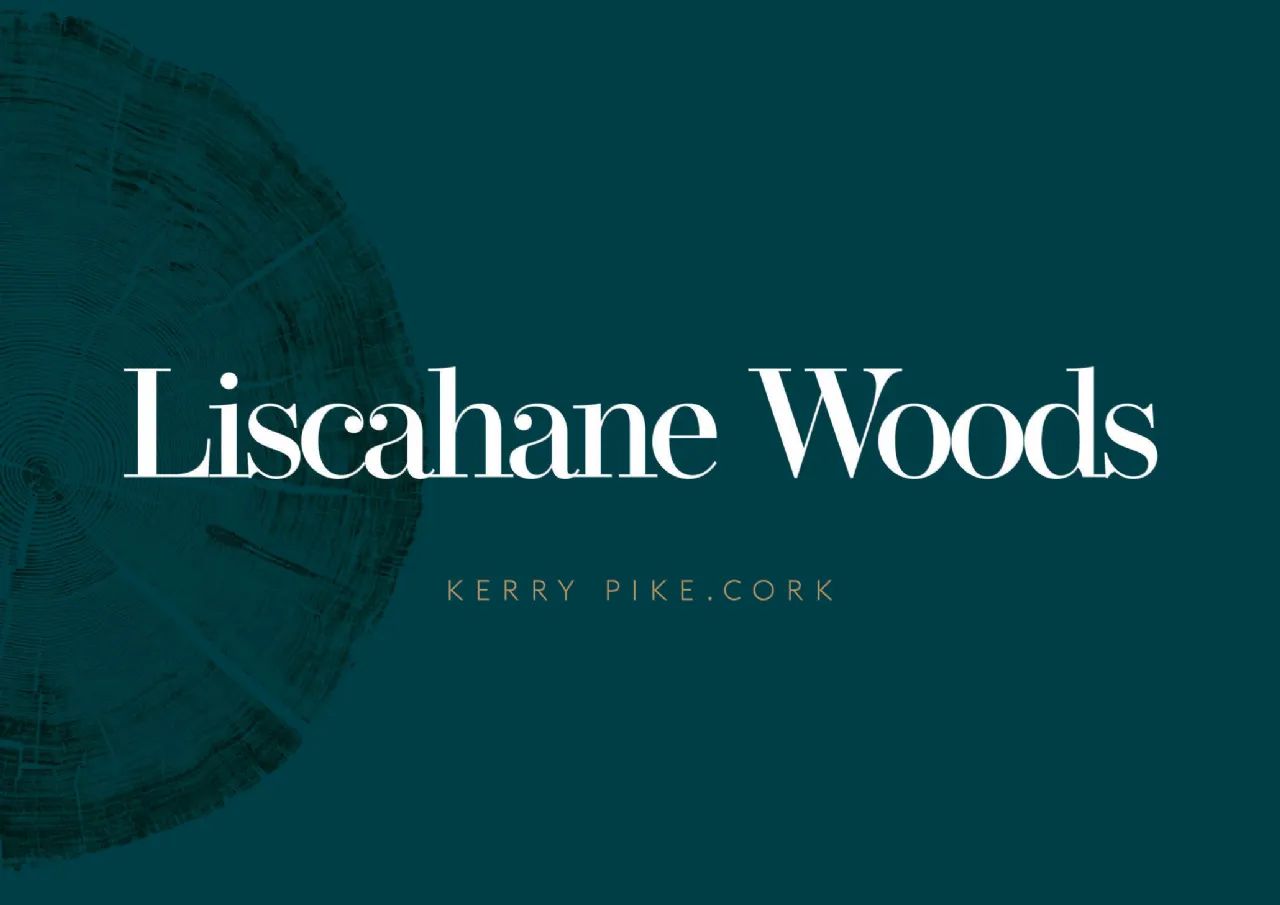 Photo of 4 Bed Semi Detached, Liscahane Woods, Kerry Pike, Cork