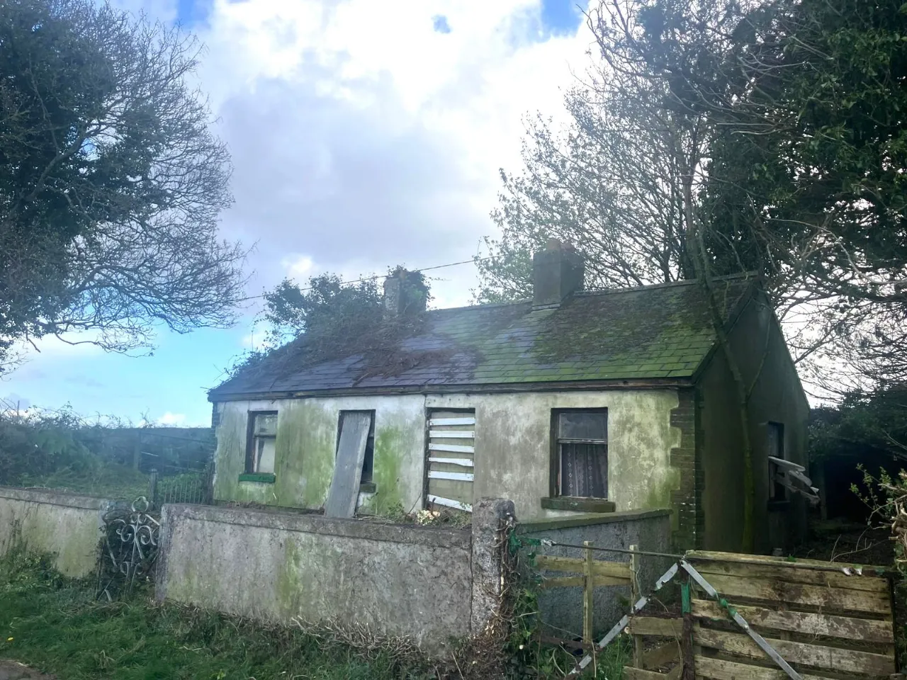 Photo of Tankardstown Site, Ballylynan, Co Laois