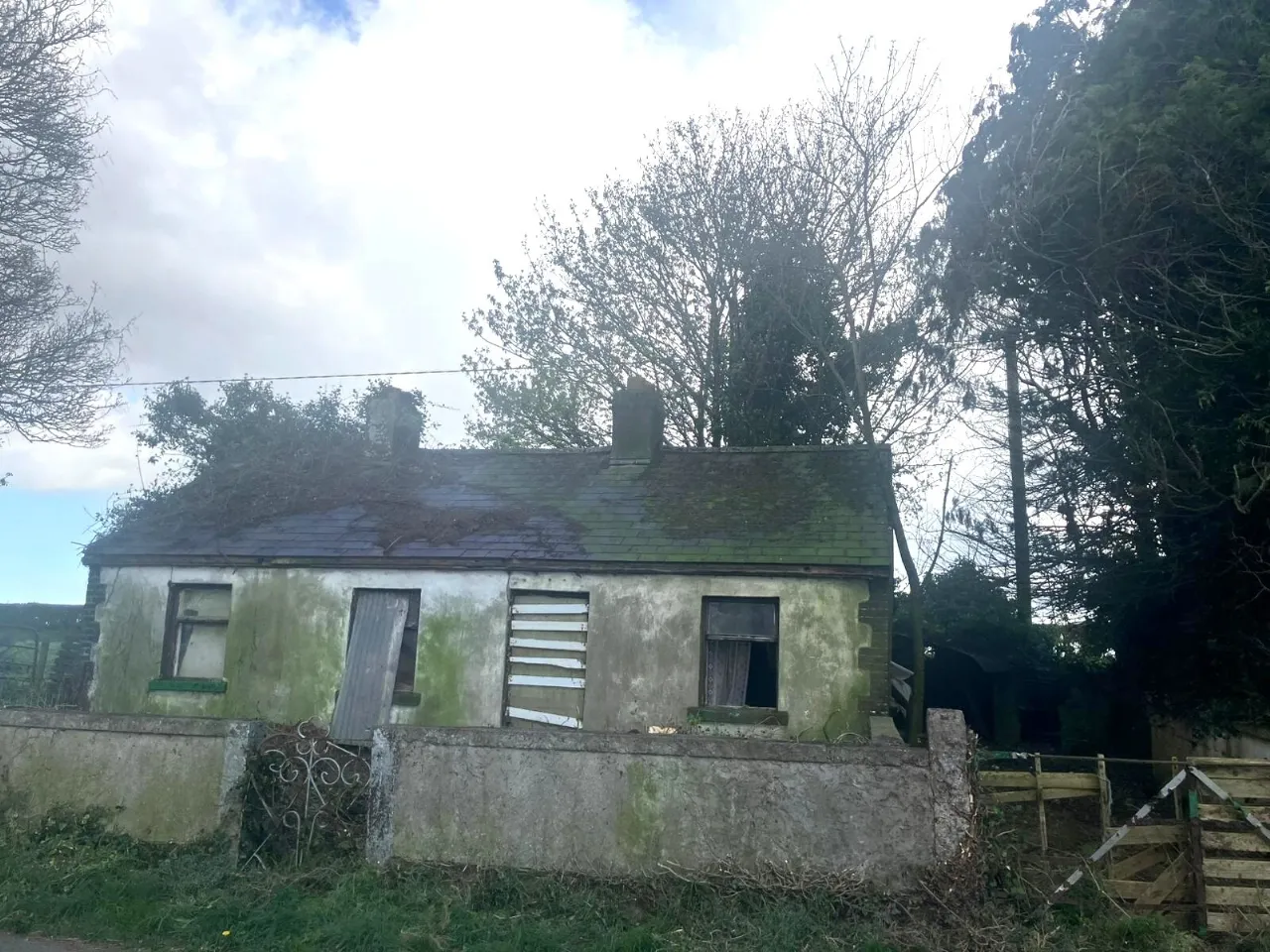 Photo of Tankardstown Site, Ballylylnan, Co Laois