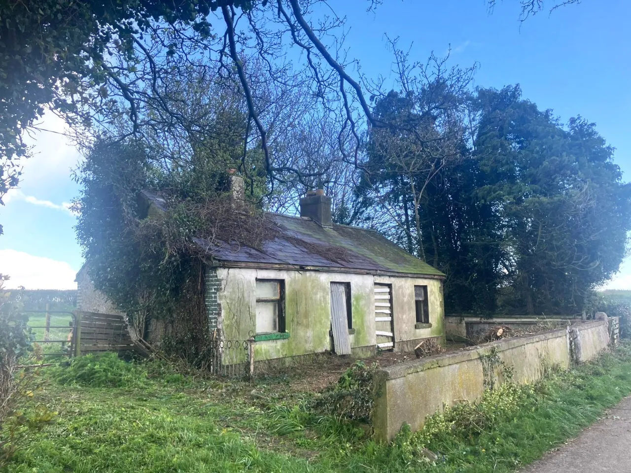 Photo of Tankardstown Site, Ballylylnan, Co Laois
