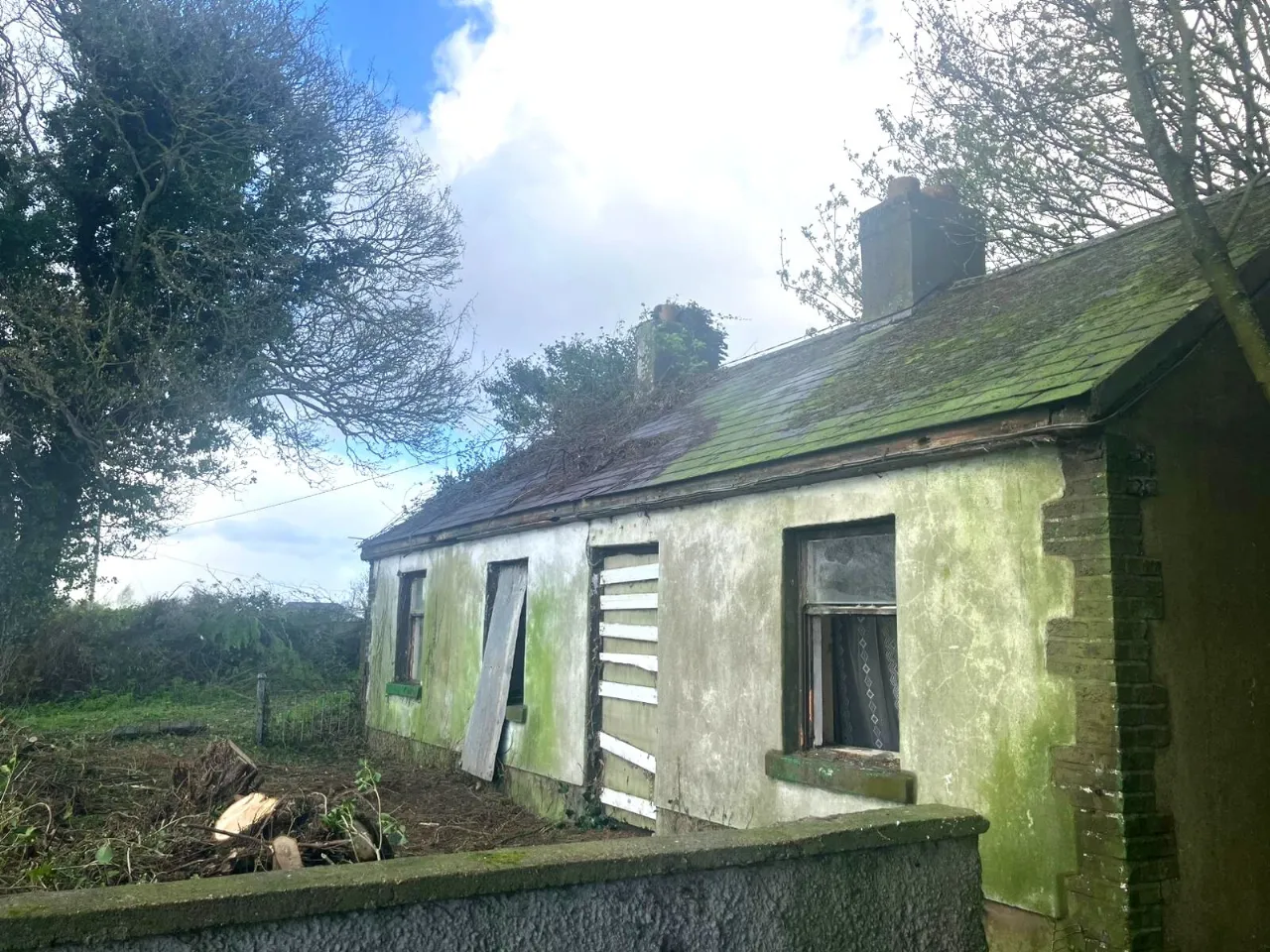 Photo of Tankardstown Site, Ballylylnan, Co Laois