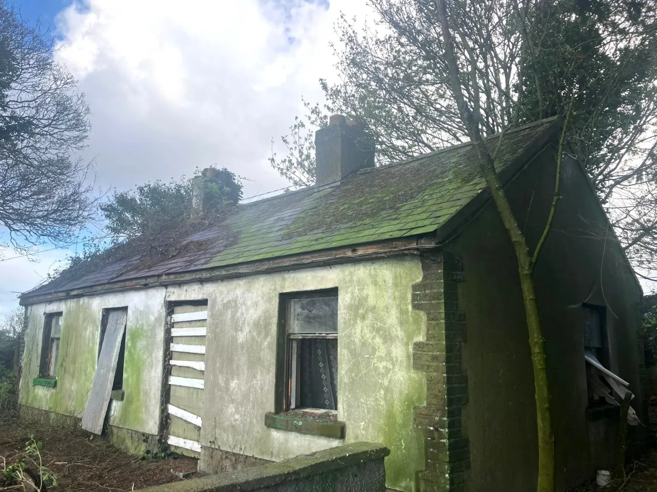 Photo of Tankardstown Site, Ballylynan, Co Laois
