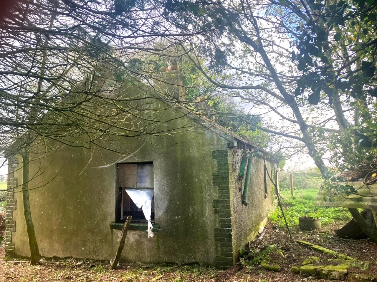 Photo of Tankardstown Site, Ballylylnan, Co Laois