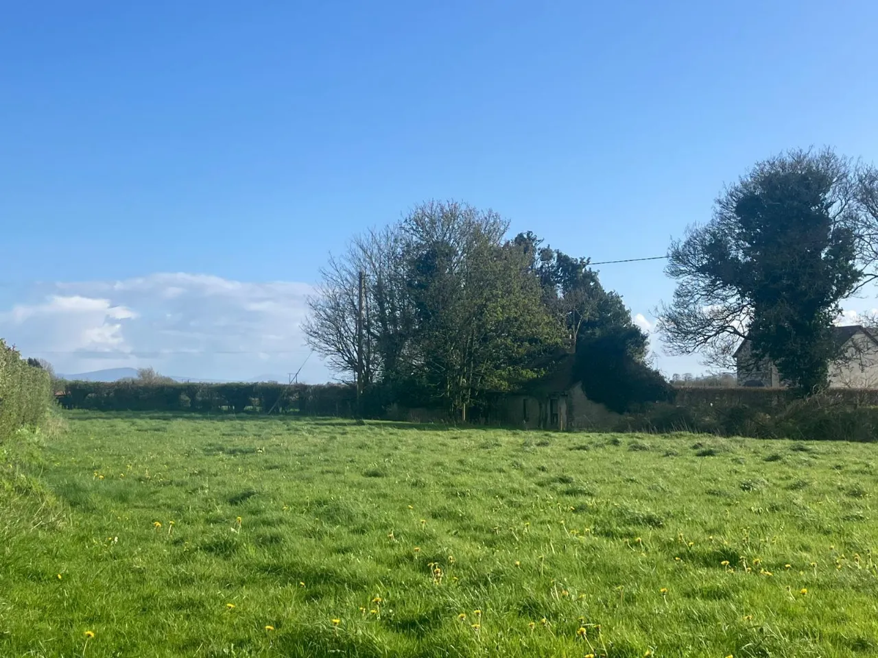 Photo of Tankardstown Site, Ballylylnan, Co Laois