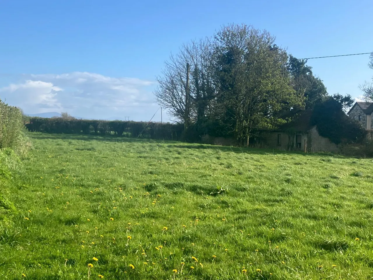 Photo of Tankardstown Site, Ballylylnan, Co Laois
