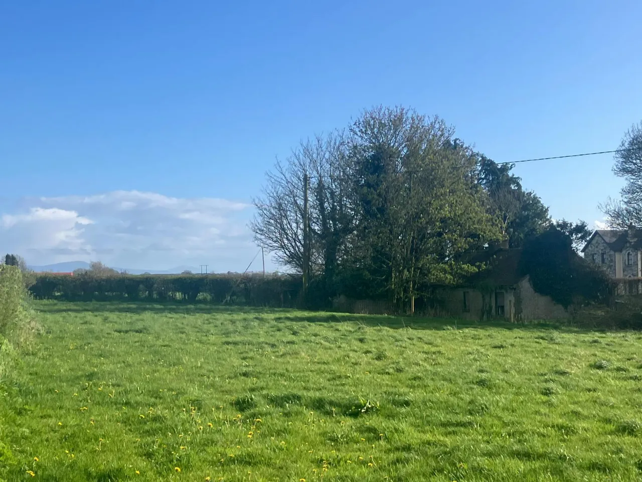 Photo of Tankardstown Site, Ballylylnan, Co Laois