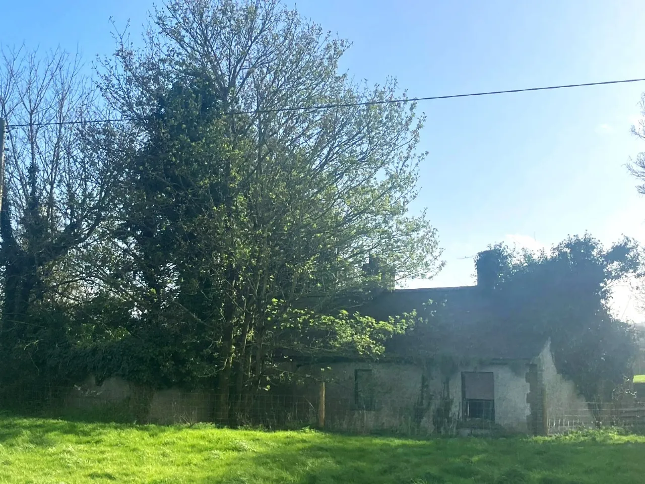 Photo of Tankardstown Site, Ballylylnan, Co Laois