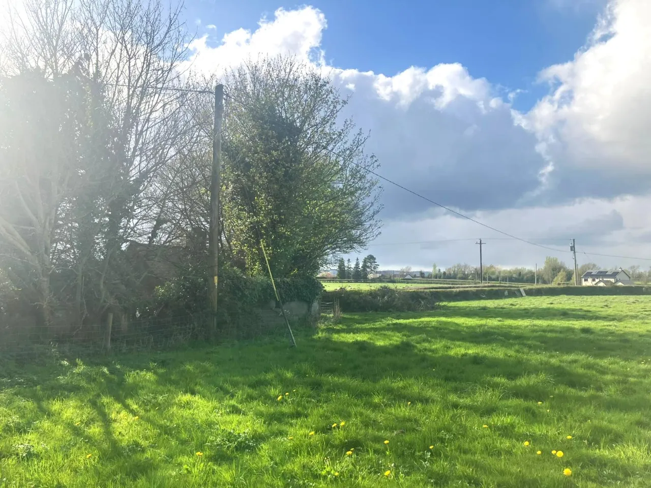 Photo of Tankardstown Site, Ballylylnan, Co Laois