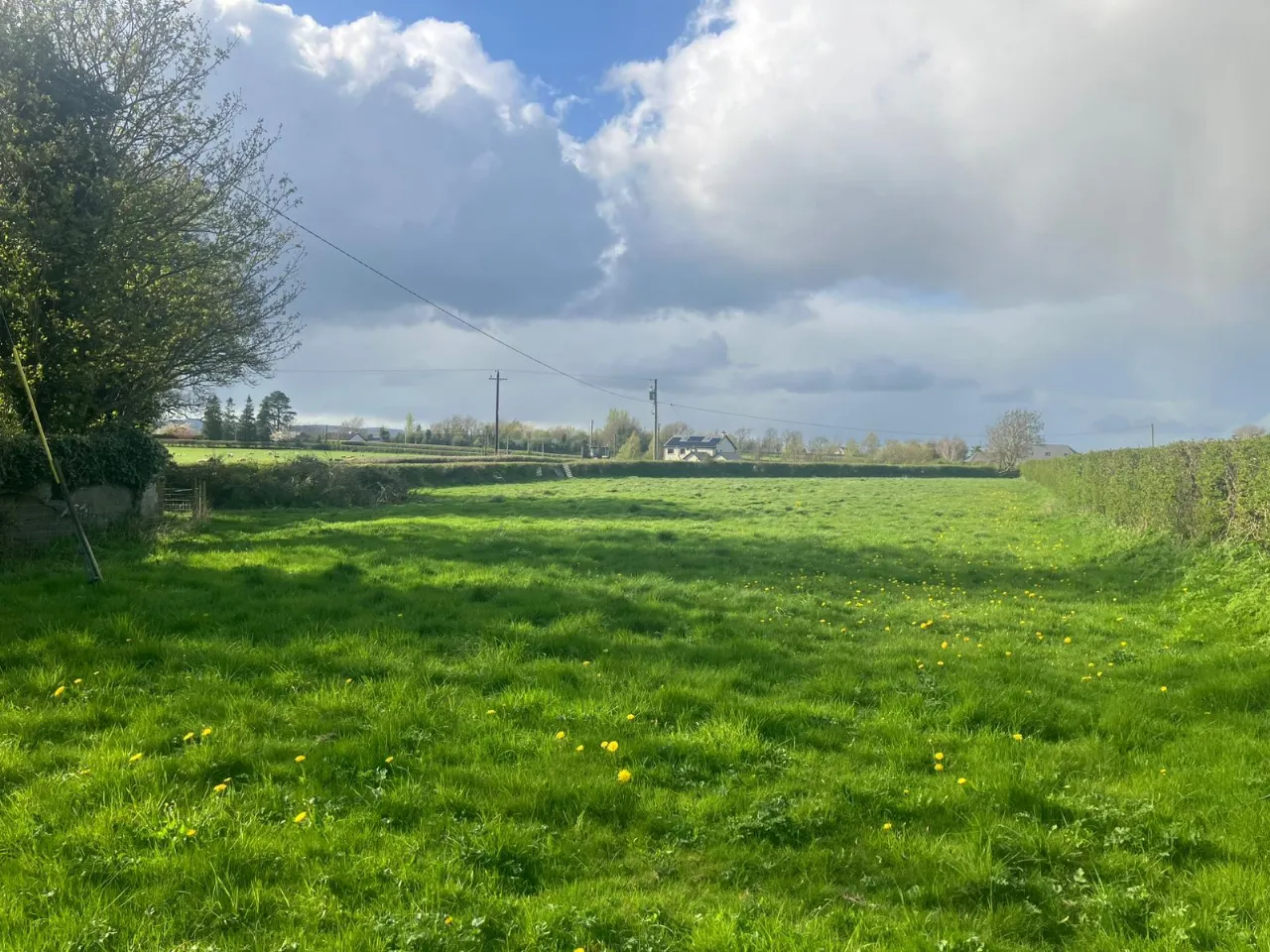 Photo of Tankardstown Site, Ballylylnan, Co Laois