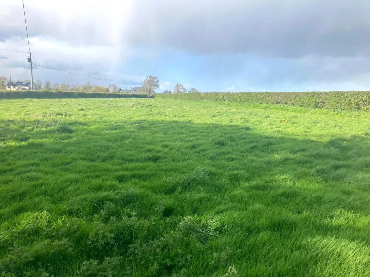 Photo of Tankardstown Site, Ballylynan, Co Laois