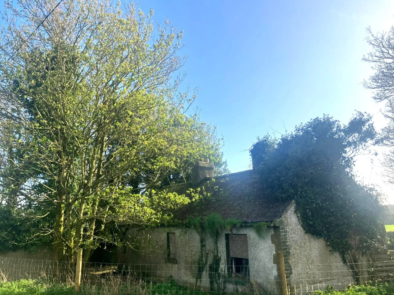 Photo of Tankardstown Site, Ballylylnan, Co Laois