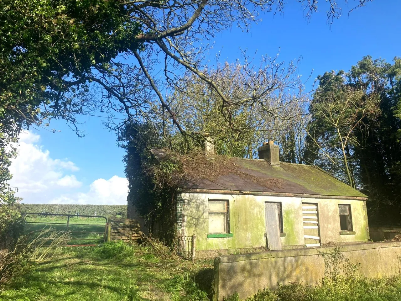 Photo of Tankardstown Site, Ballylylnan, Co Laois