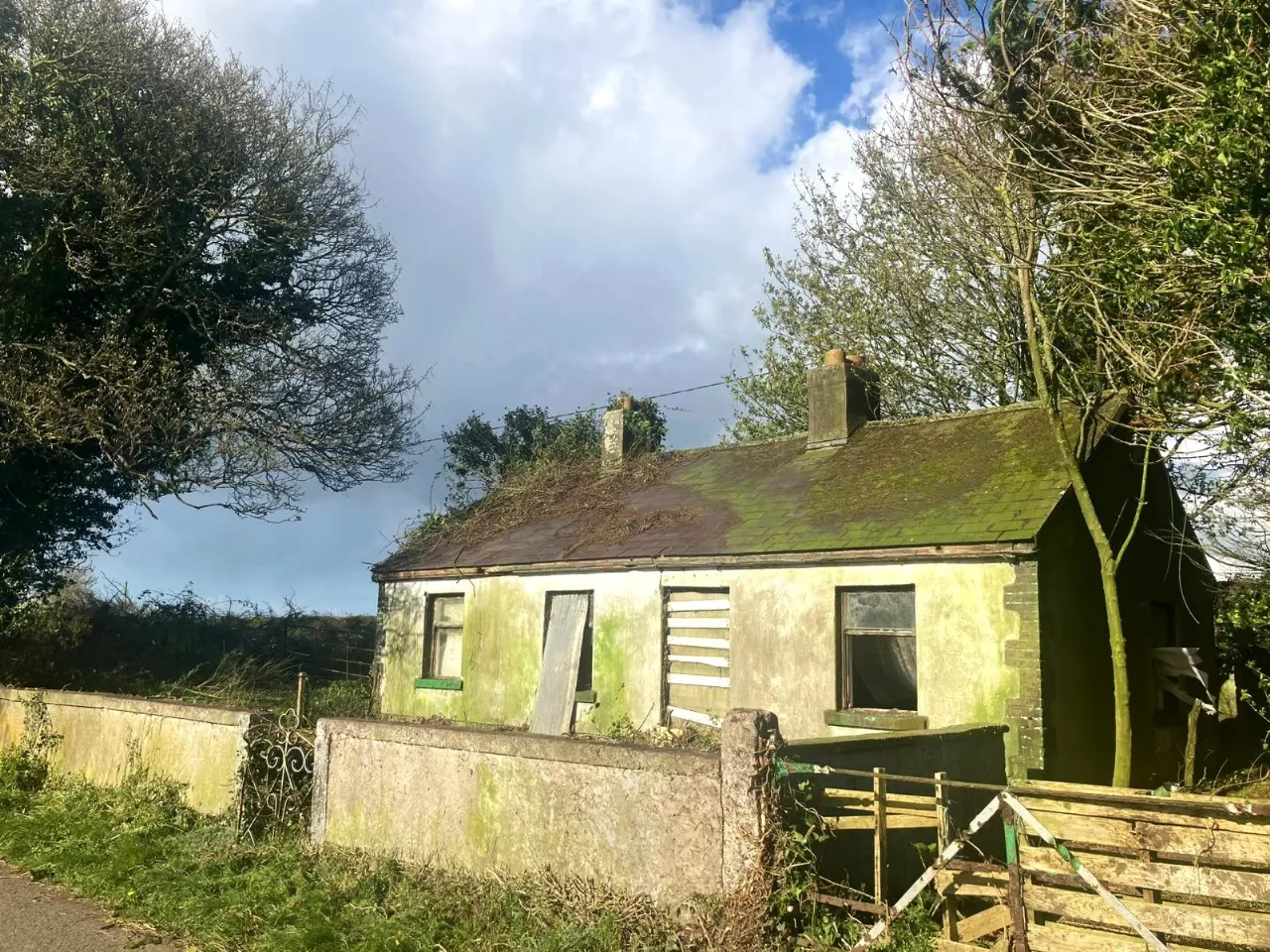 Photo of Tankardstown Site, Ballylylnan, Co Laois