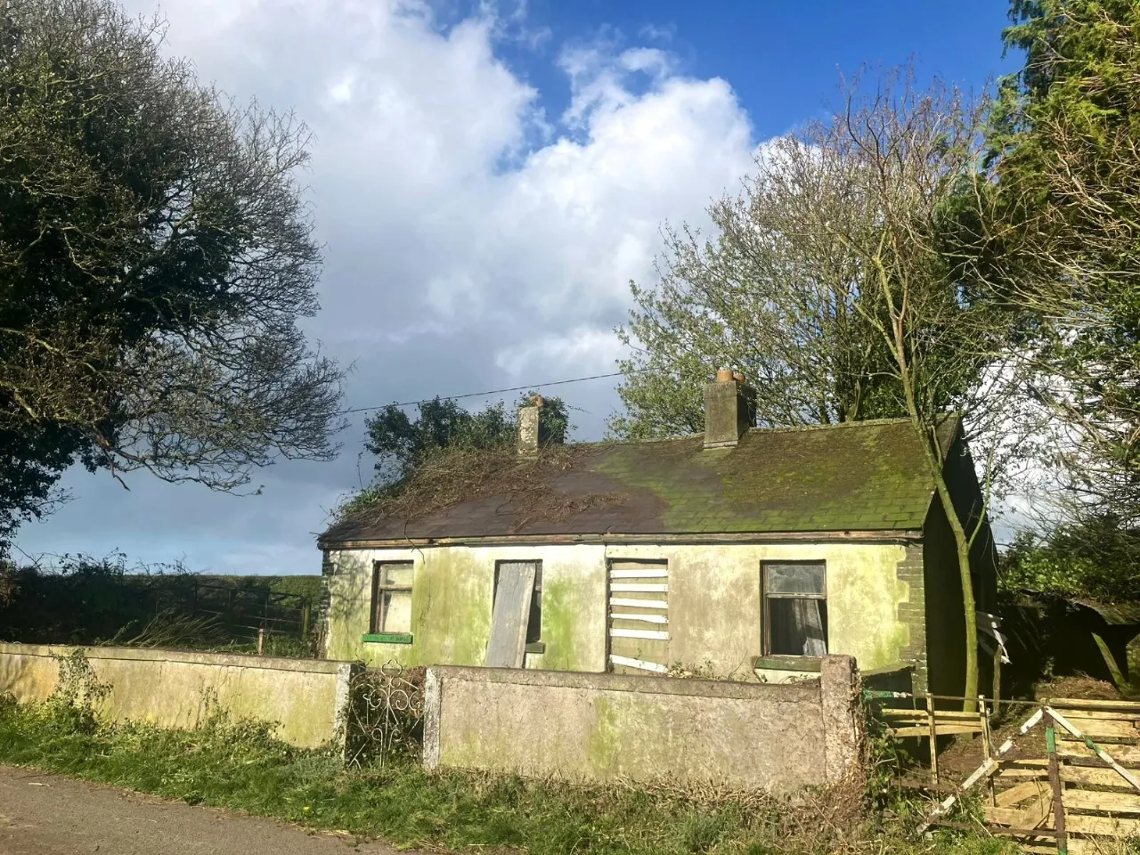 Photo of Tankardstown Site, Ballylylnan, Co Laois