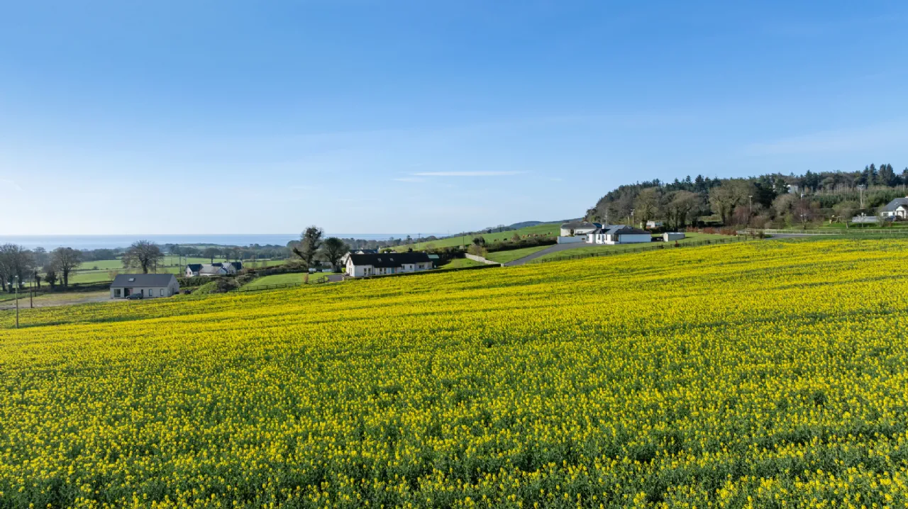 Photo of Mayenne, Blainroe Upper, Wicklow Town, Co Wicklow, A67ED81