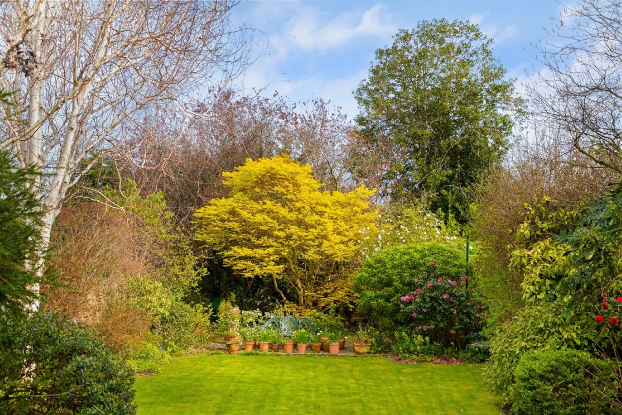 Photo of 38 Merton Road, Rathmines, Dublin 6, D06 HR62