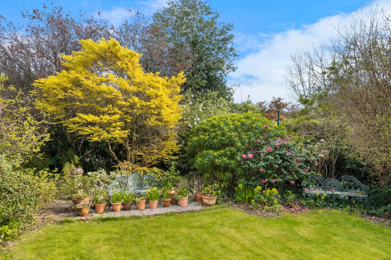 Photo of 38 Merton Road, Rathmines, Dublin 6, D06 HR62