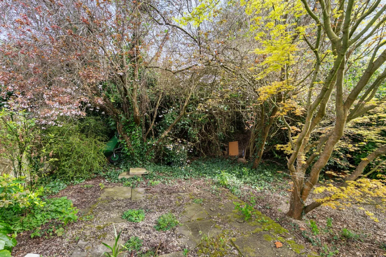 Photo of 38 Merton Road, Rathmines, Dublin 6, D06 HR62