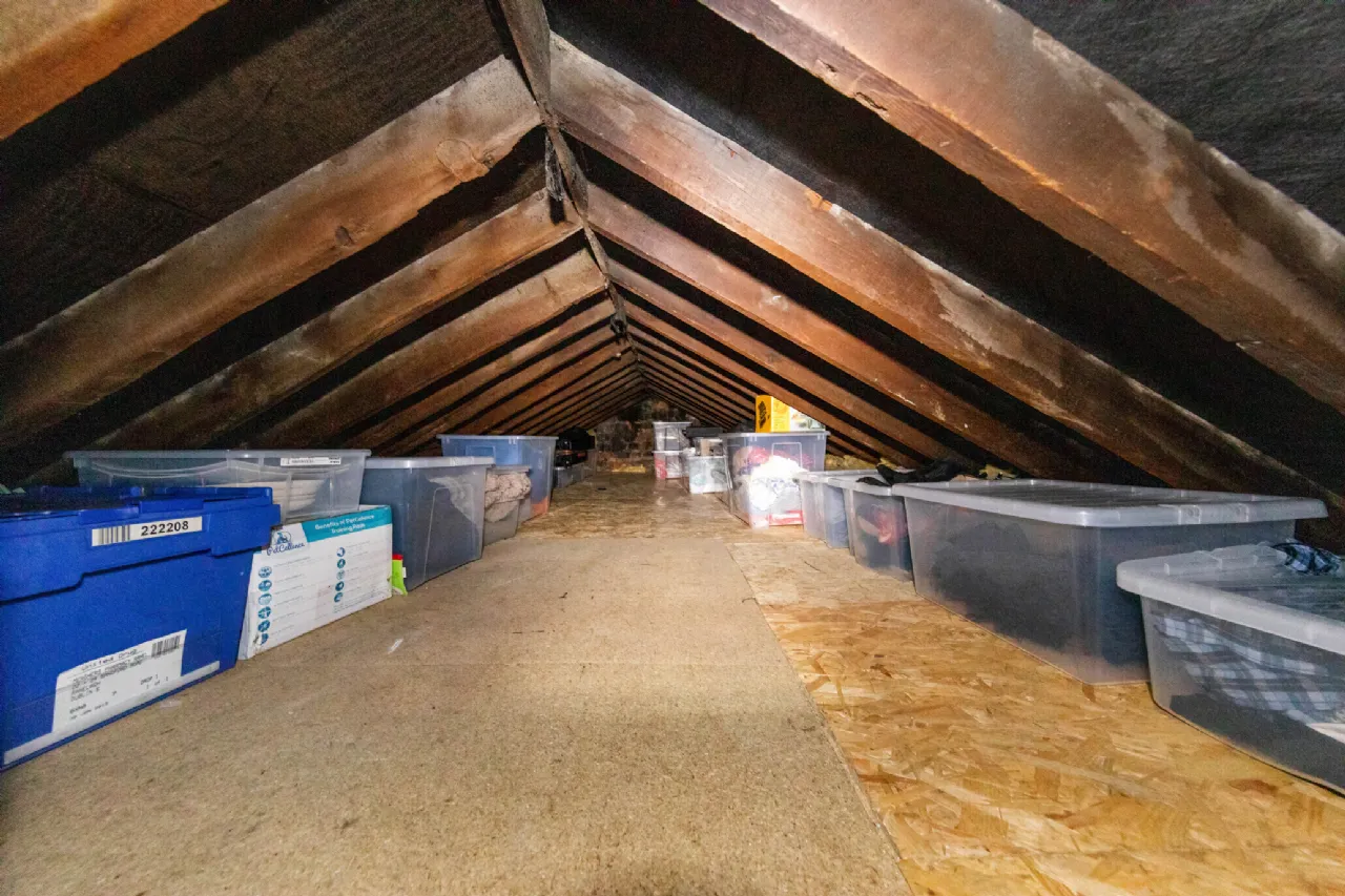 Photo of 6 Mountpleasant Avenue Upper, Ranelagh, Dublin 6, D06Y627