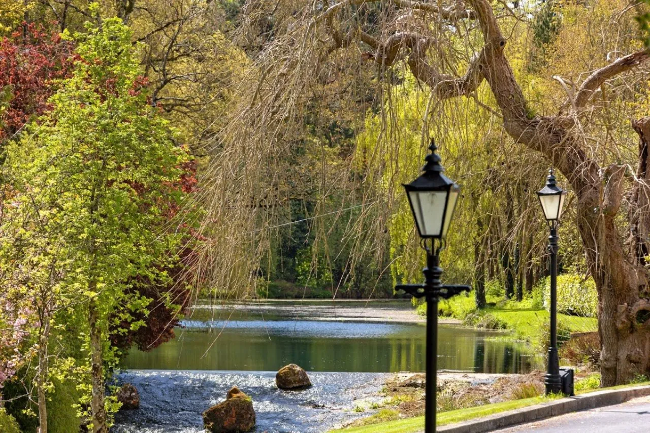 Photo of Kilcreene Lodge, Kilkenny, R95 VKA4