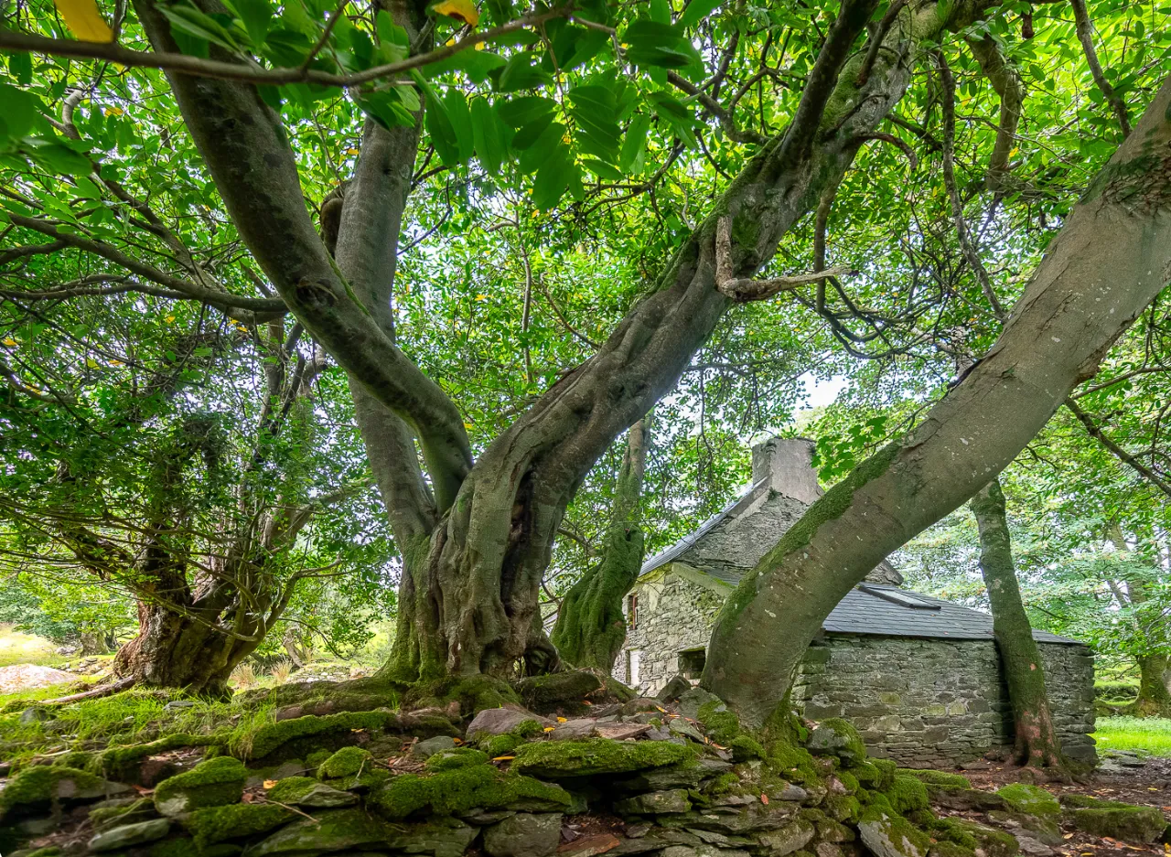 Photo of Earneen, Bonane, Kenmare, Co.Kerry