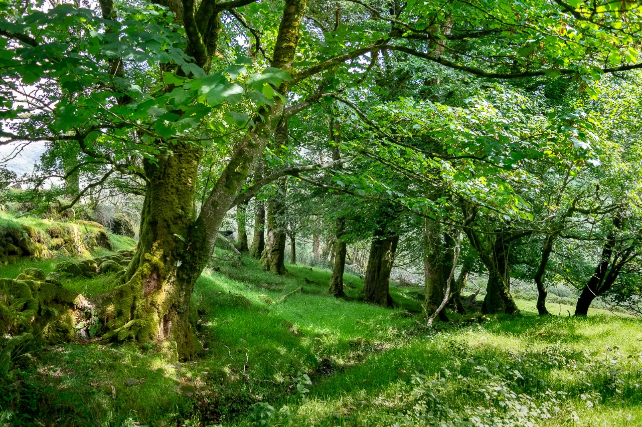 Photo of Earneen, Bonane, Kenmare, Co.Kerry