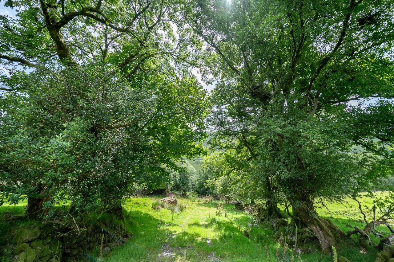 Photo of Earneen, Bonane, Kenmare, Co.Kerry