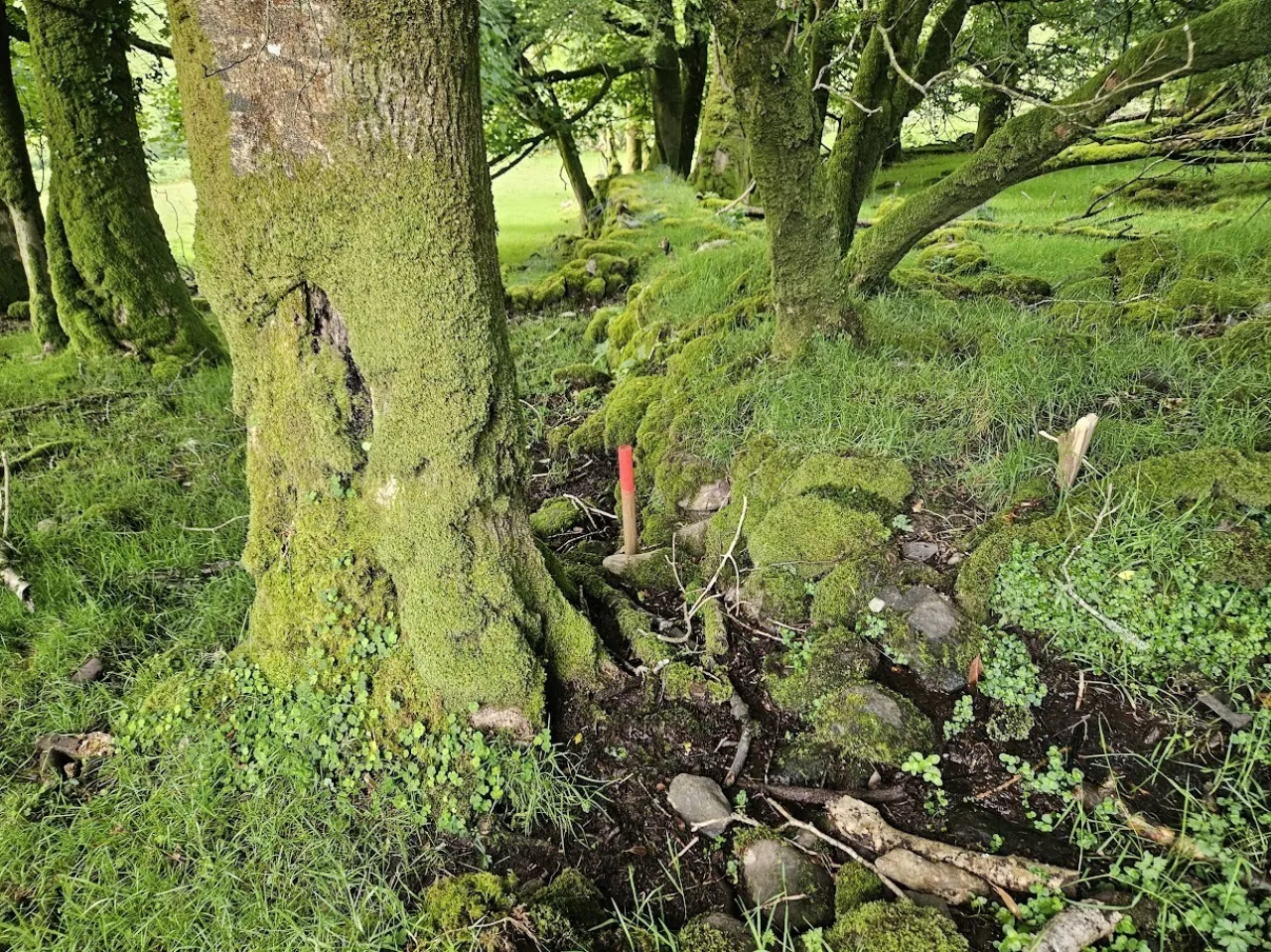 Photo of Earneen, Bonane, Kenmare, Co.Kerry