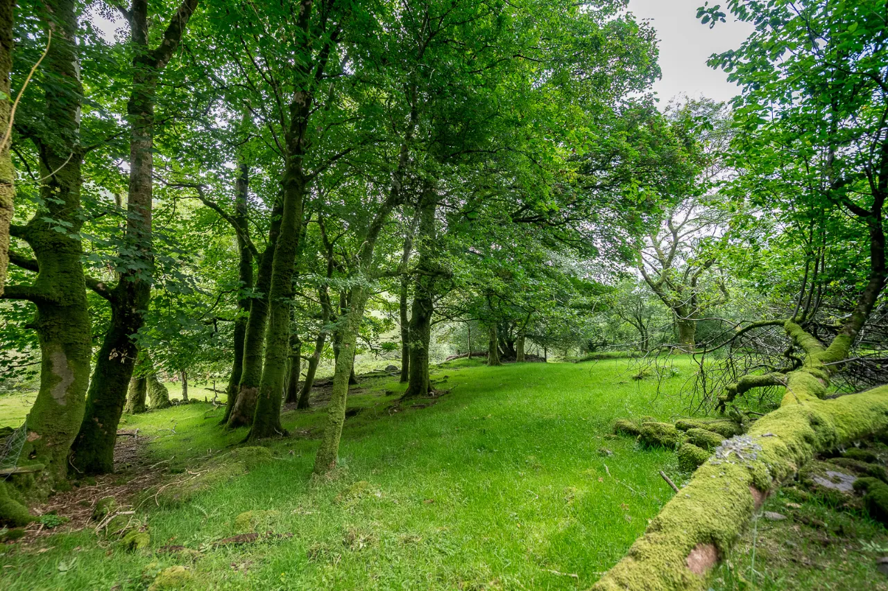 Photo of Earneen, Bonane, Kenmare, Co.Kerry