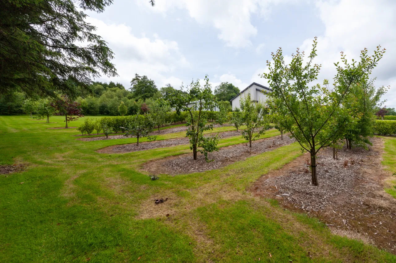 Photo of Carrighill, Barntown, Co. Wexford, Y35ED65