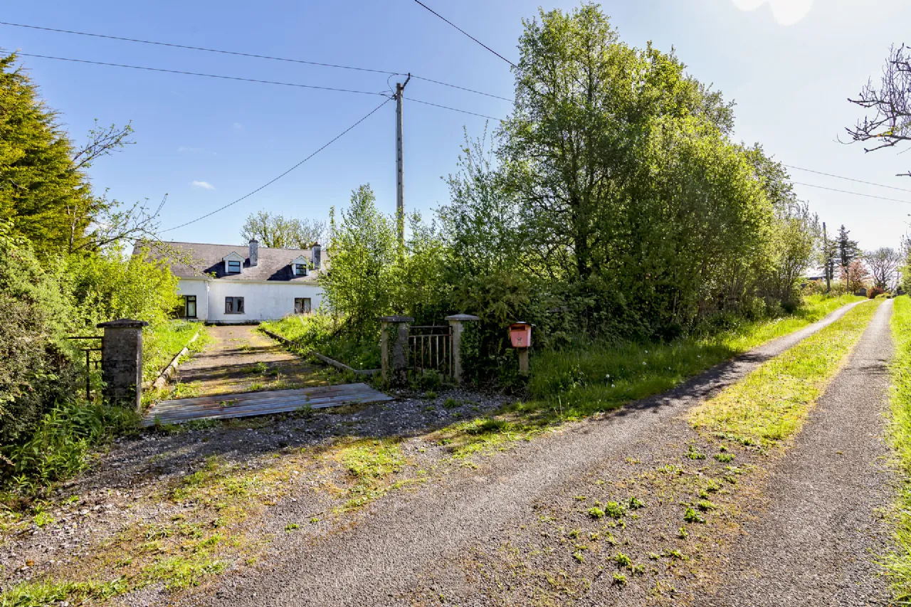 Photo of Roosky More, Culfadda, Co. Sligo, F56WE19