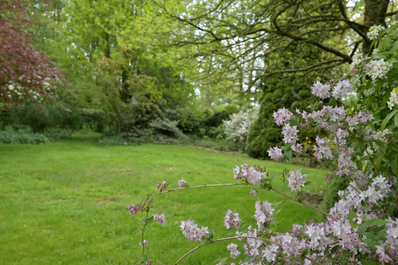 Photo of Rathduff House, Muine Bheag, Co. Carlow, R21TF74
