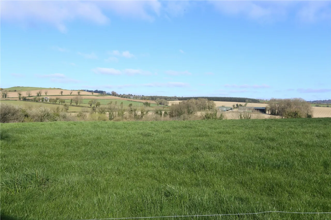 Photo of Old Mellifont Road, Begrath, Tullyallen, Co Louth, A92 D4V6