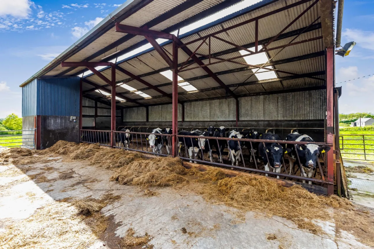 Photo of 70 Acre / 28.33 Ha Dairy Farm,, Coraweelis, Ashfield, Cootehill, Co. Cavan