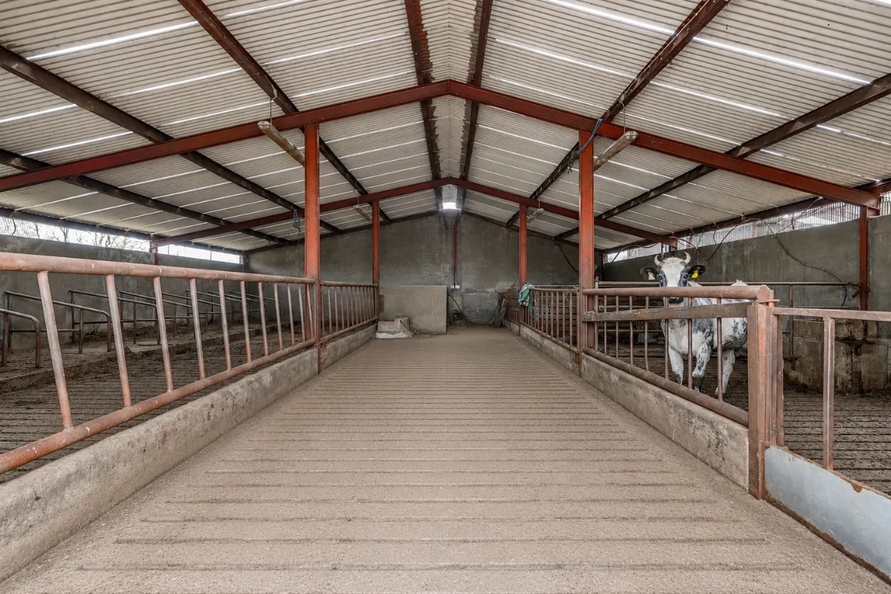 Photo of 70 Acre / 28.33 Ha Dairy Farm,, Coraweelis, Ashfield, Cootehill, Co. Cavan
