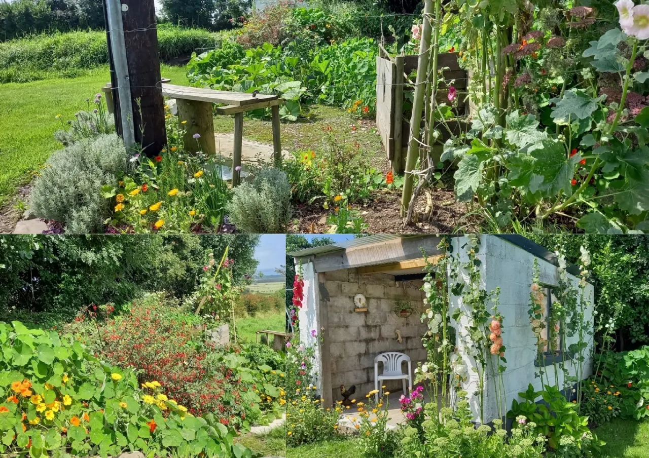 Photo of Tullahinell, Ballylongford, Co Kerry, V31 NV97