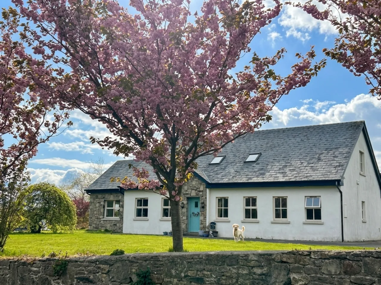 Photo of Ardogommon, Westport, Co Mayo, F28 Y170
