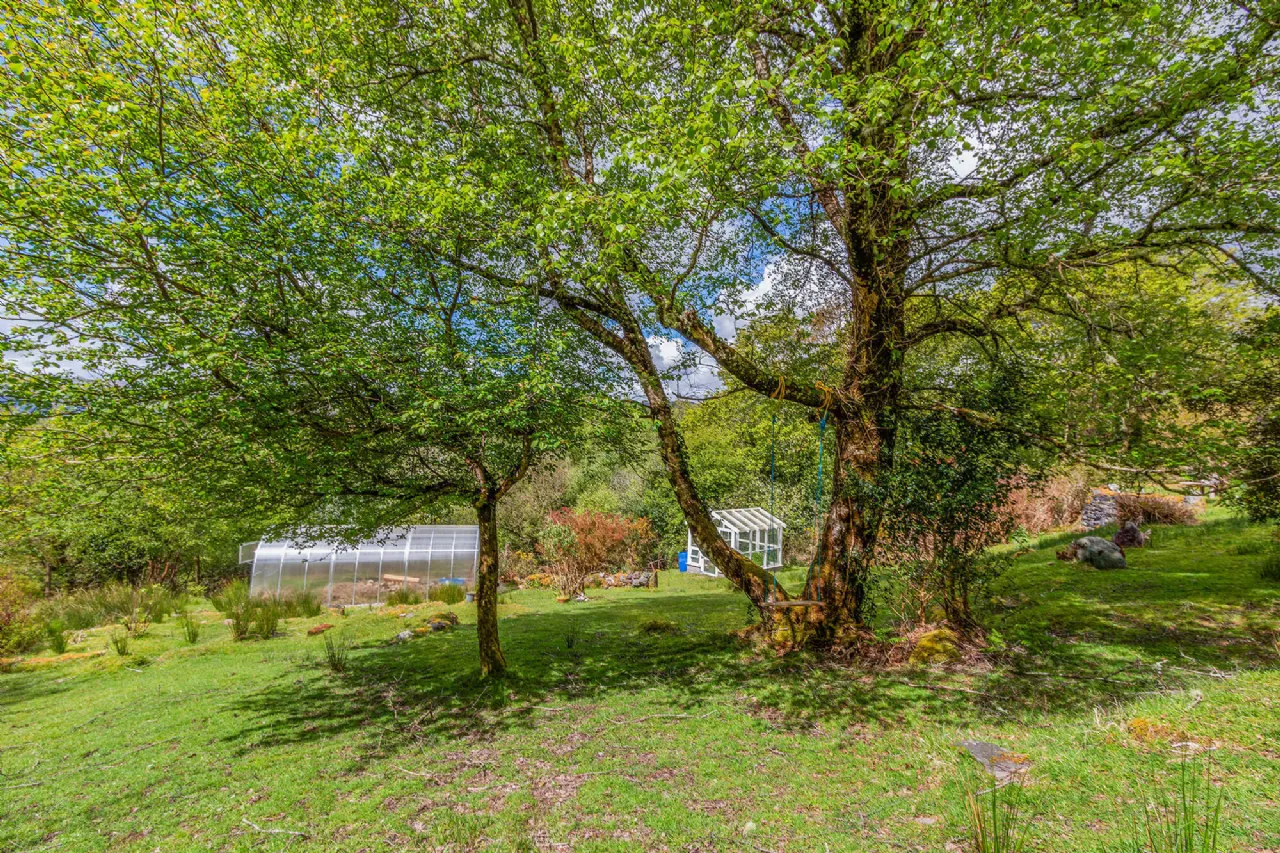 Photo of Woodland Retreat, Dromgarriff, Glengarriff, Co Cork, P75 VH48