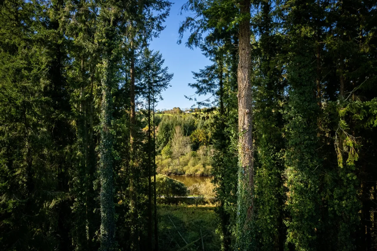 Photo of Brandon View, St Mullins's, County Carlow, R95 H2A0