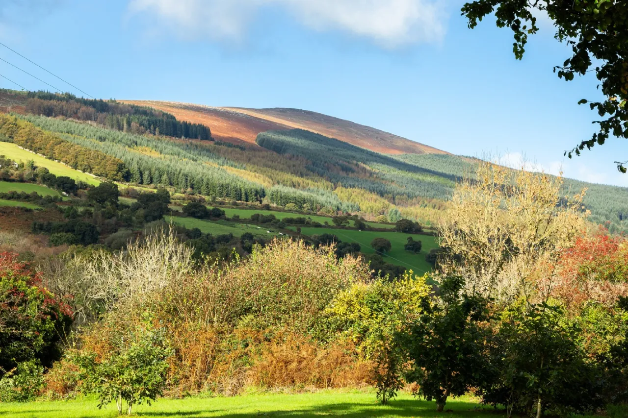 Photo of Brandon View, St Mullins's, County Carlow, R95 H2A0