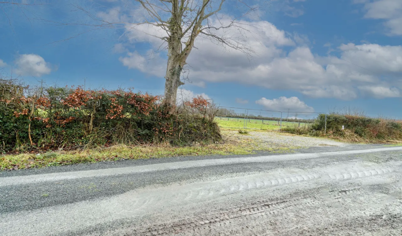 Photo of Site, Oldtown, Clonkeen, Portlaoise, Laois