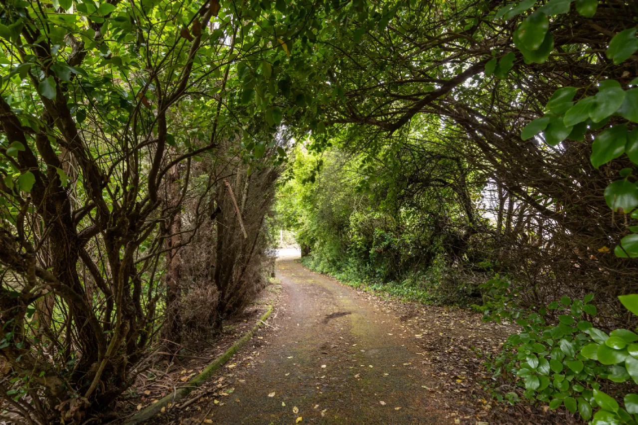 Photo of Heather Hill, Kingsford, Barntown, Co. Wexford, Y35WD23
