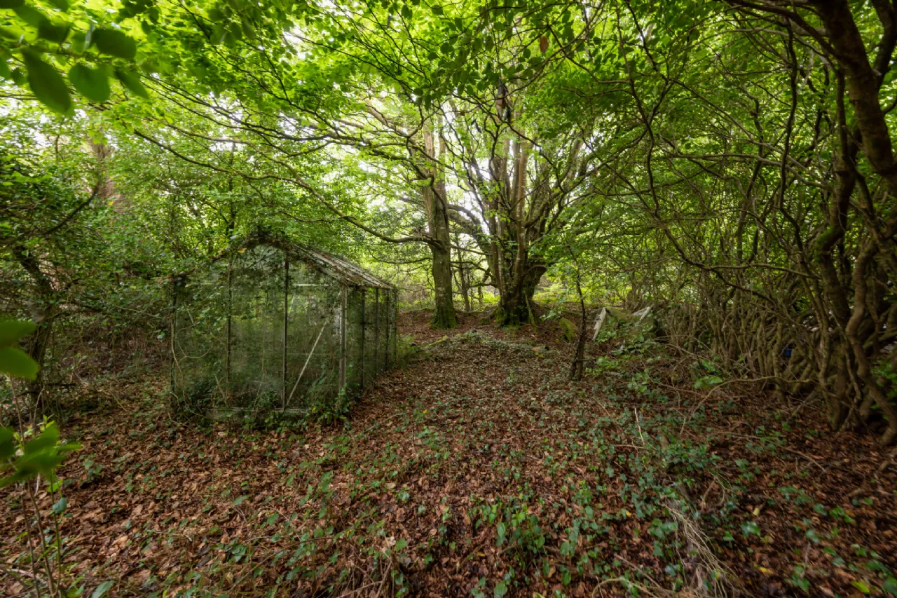 Photo of Heather Hill, Kingsford, Barntown, Co. Wexford, Y35WD23