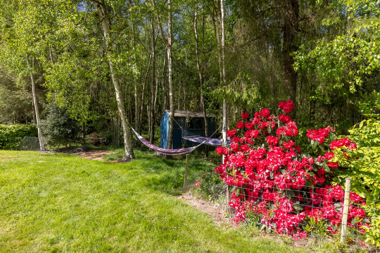 Photo of Linnanagh, Kilanerin, Gorey, Co. Wexford, Y25 XW86