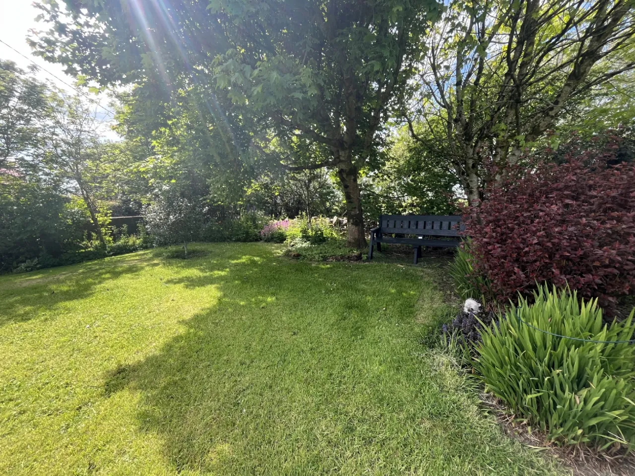 Photo of Woodville, Crossmolina, Co. Mayo, F26 Y430