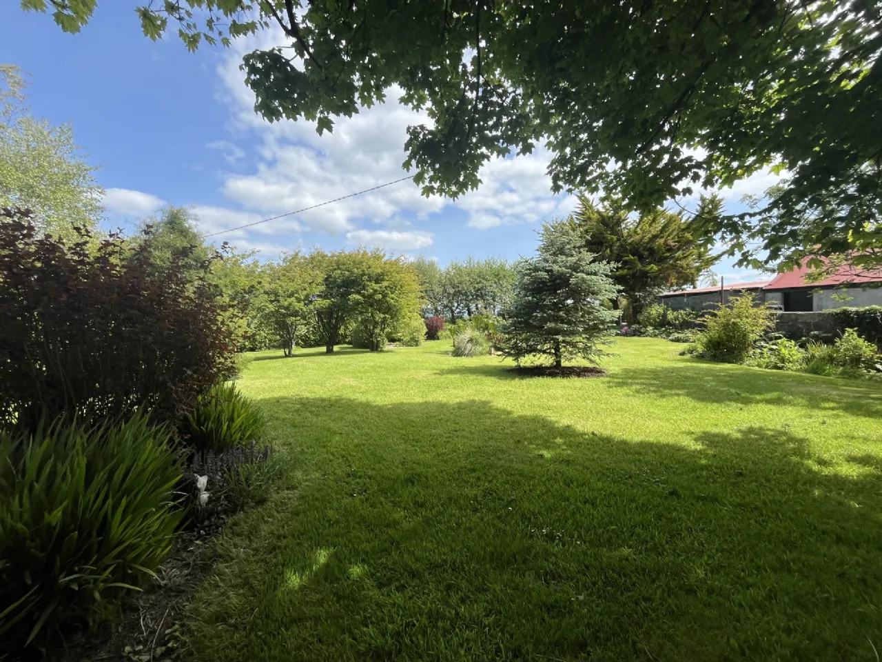 Photo of Woodville, Crossmolina, Co. Mayo, F26 Y430